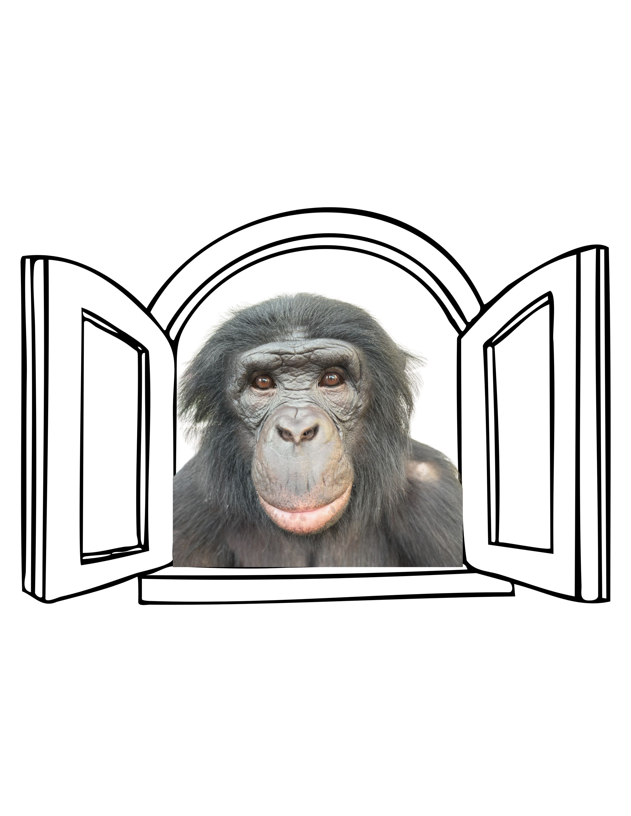 Untitled design (2).png