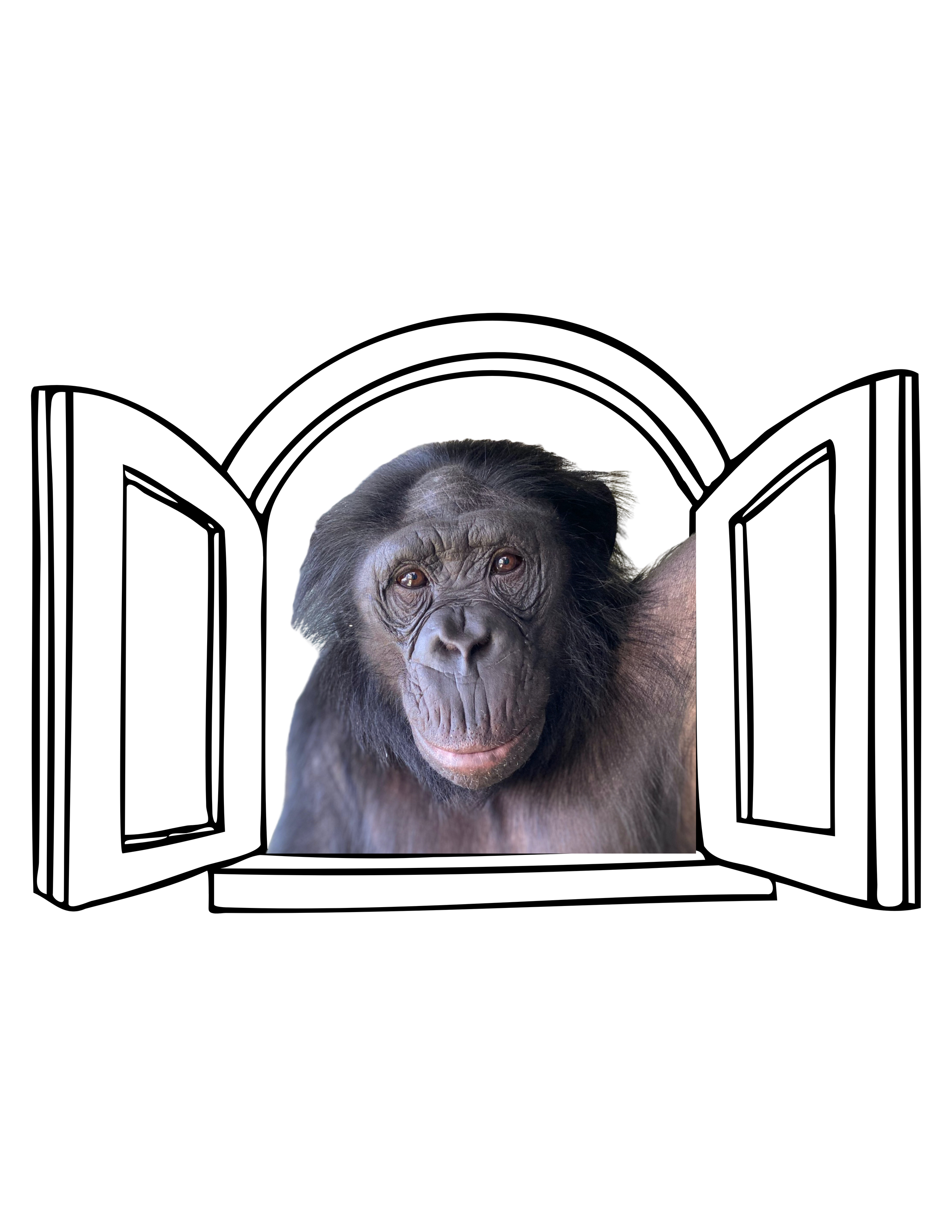 Untitled design (4).png