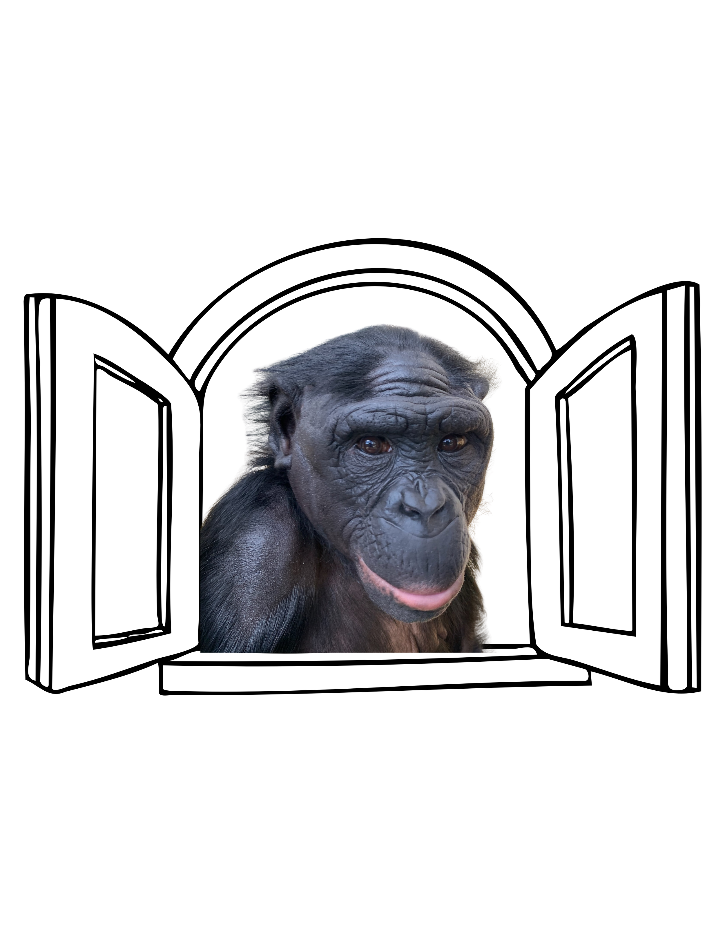 ClaraWindow.png