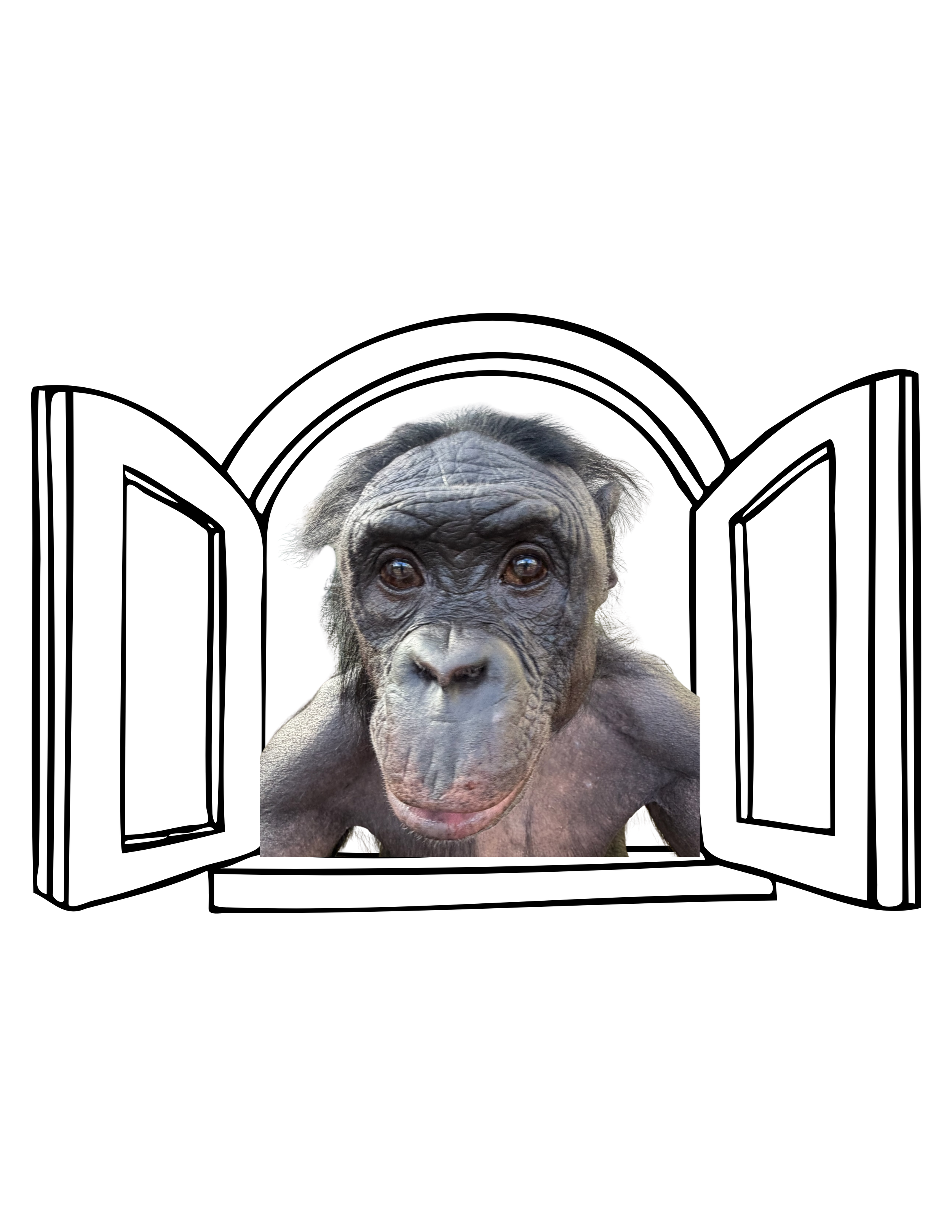 MaishaWindow.png