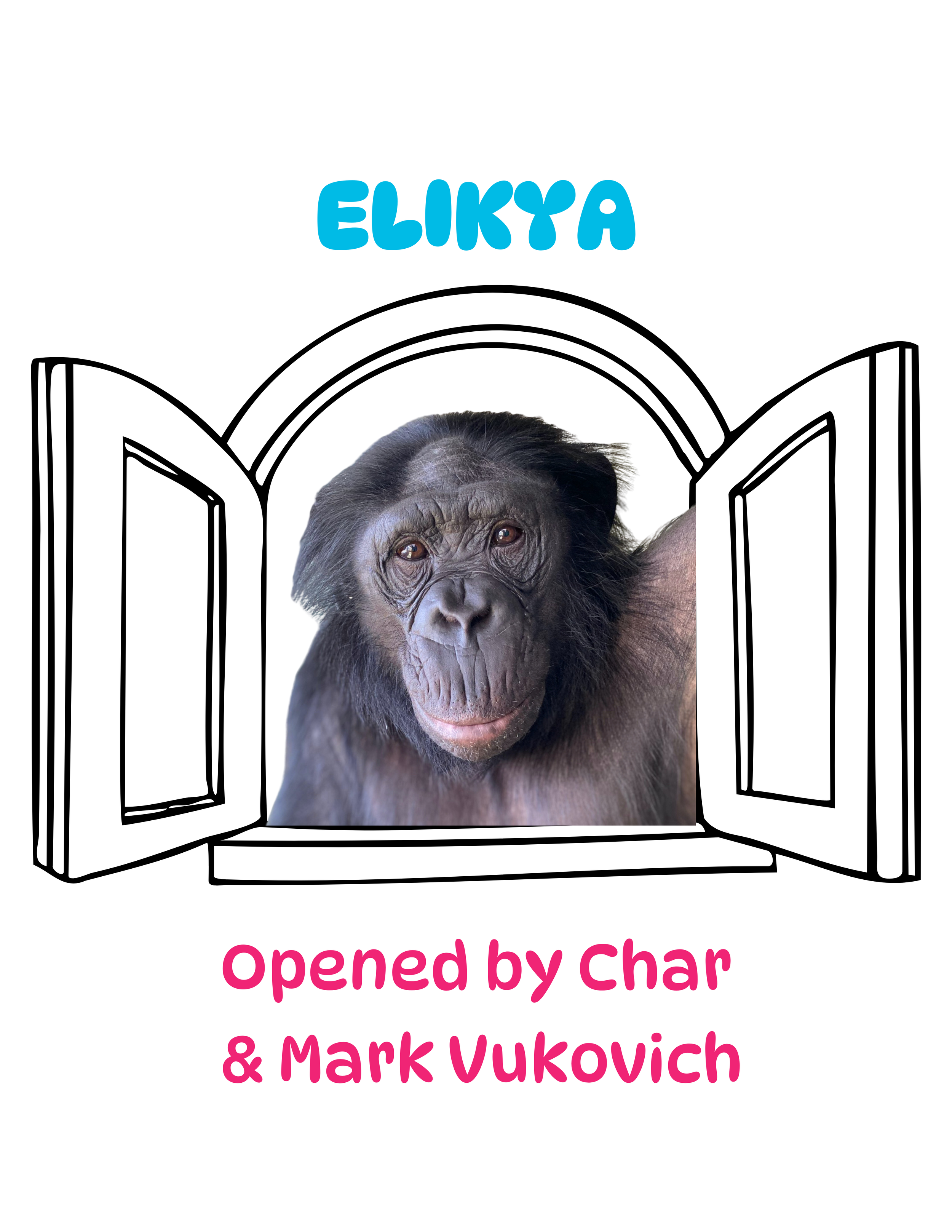 VukovichWindow.png