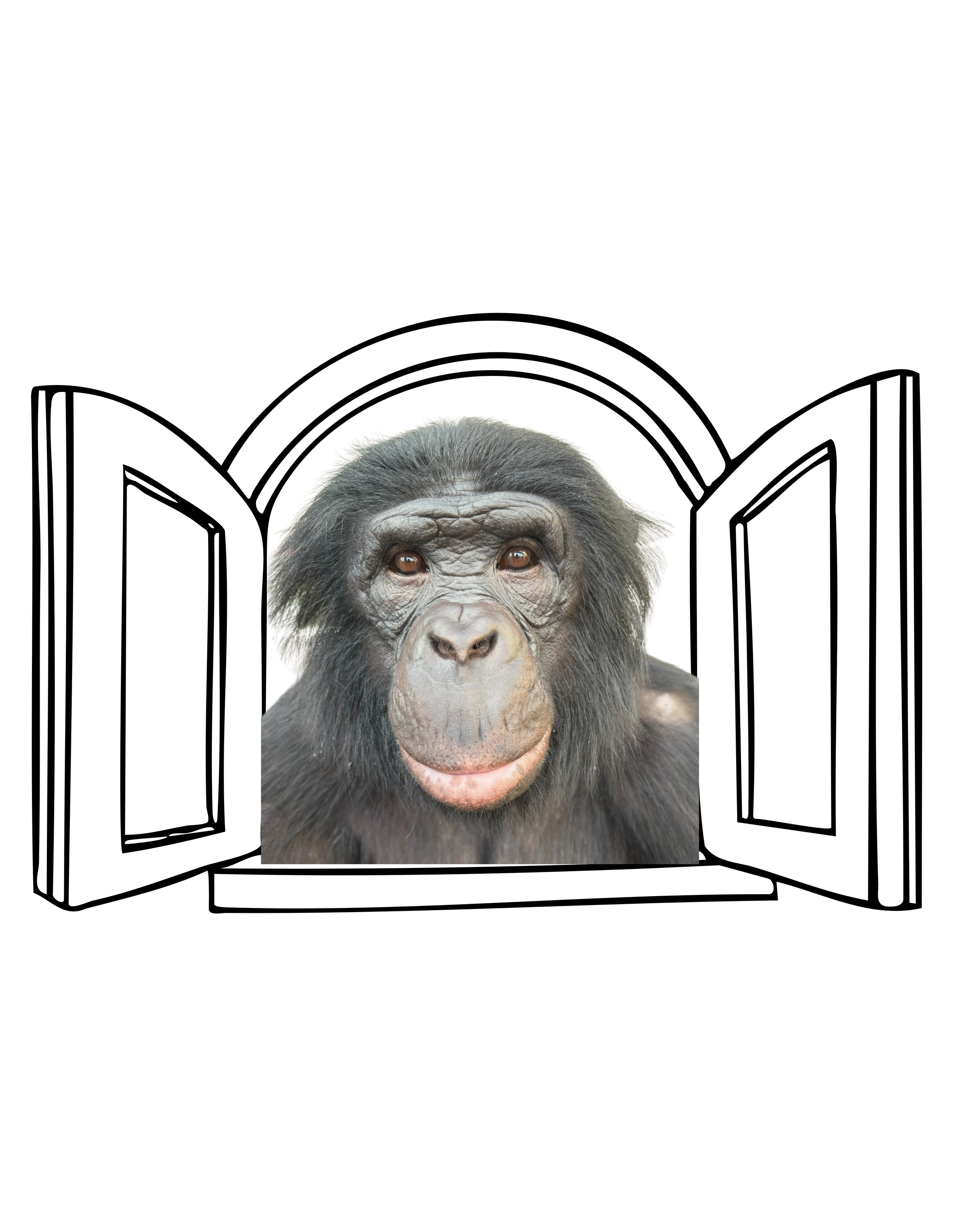 TecoWindow.png