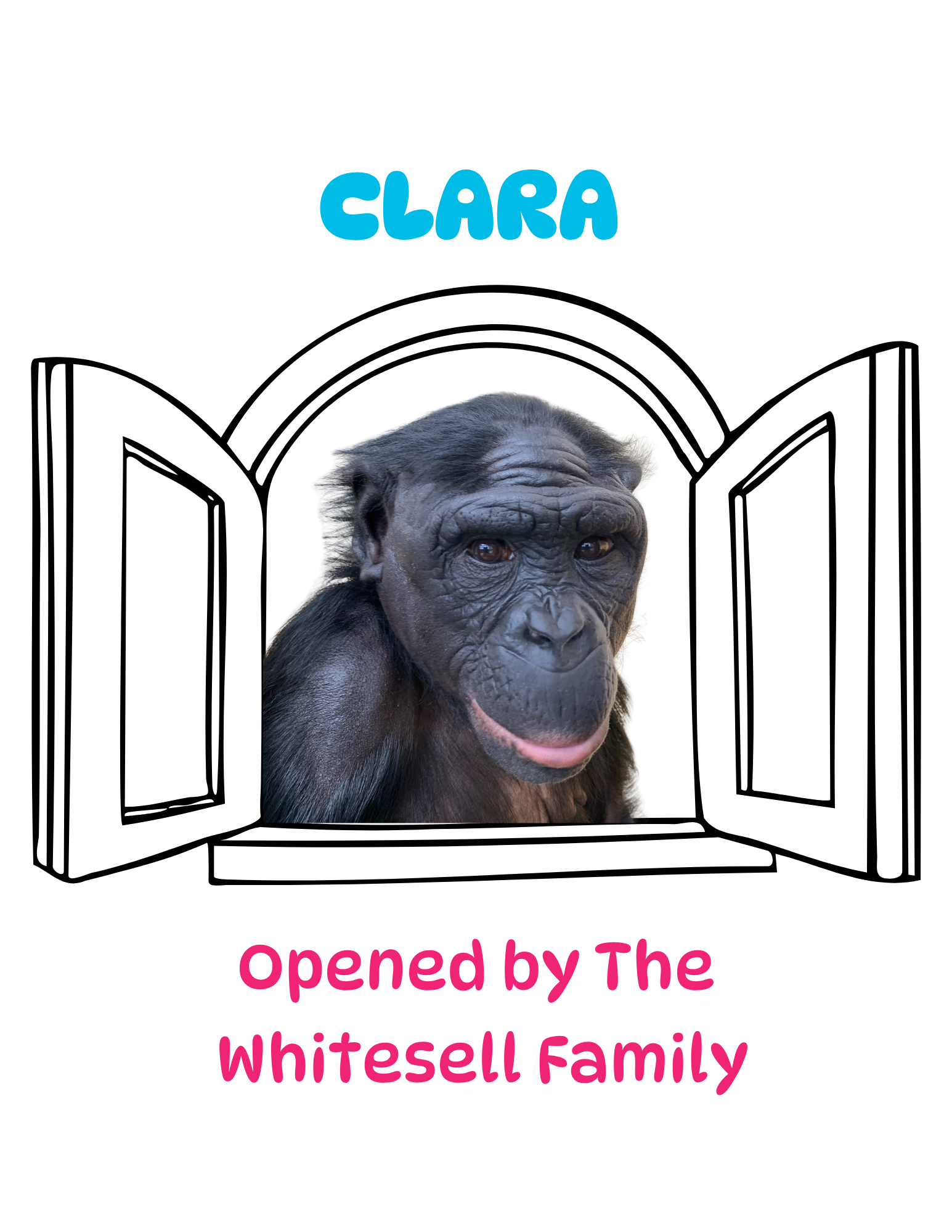 WhitesellWindow.png