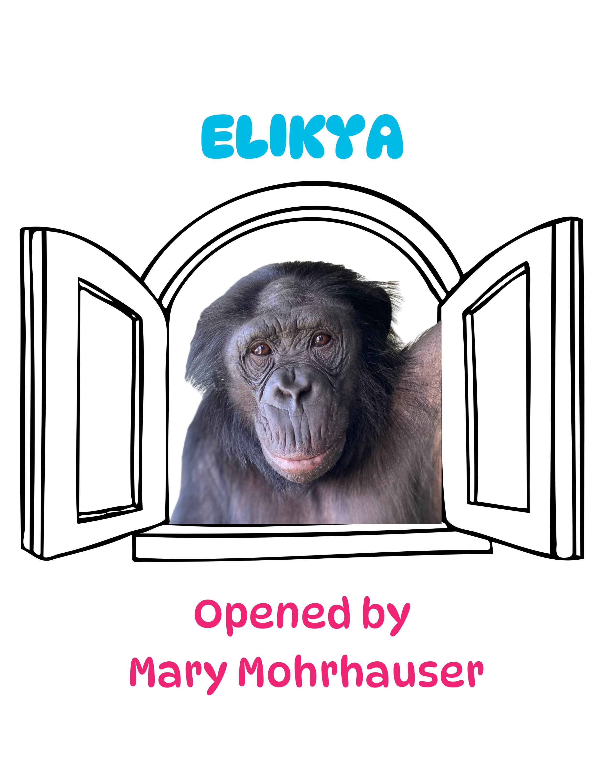 MohrhauserWindow.png