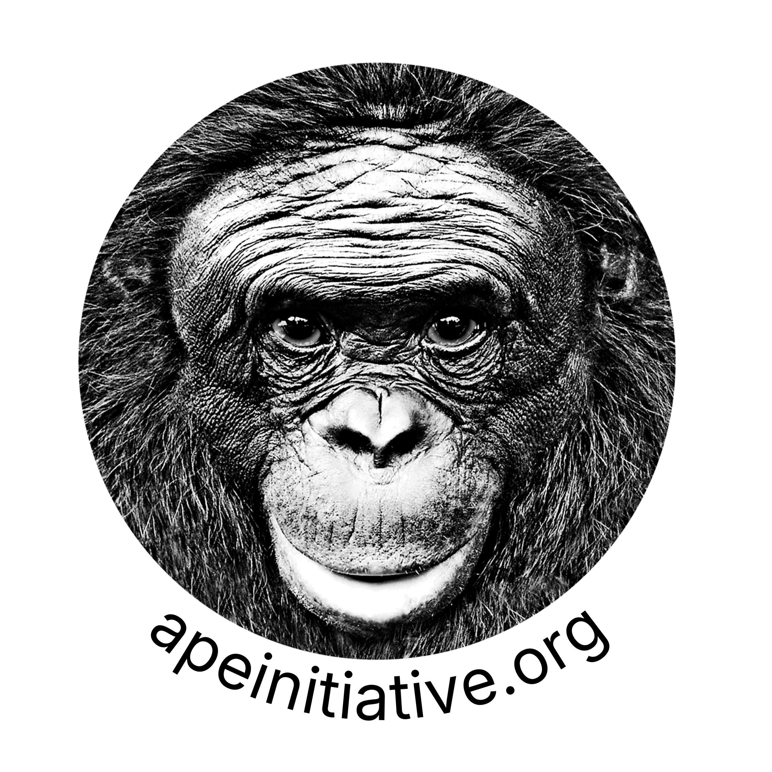 Ape Initiative
