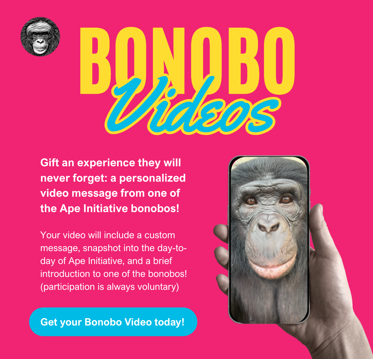 Bonobo Videos