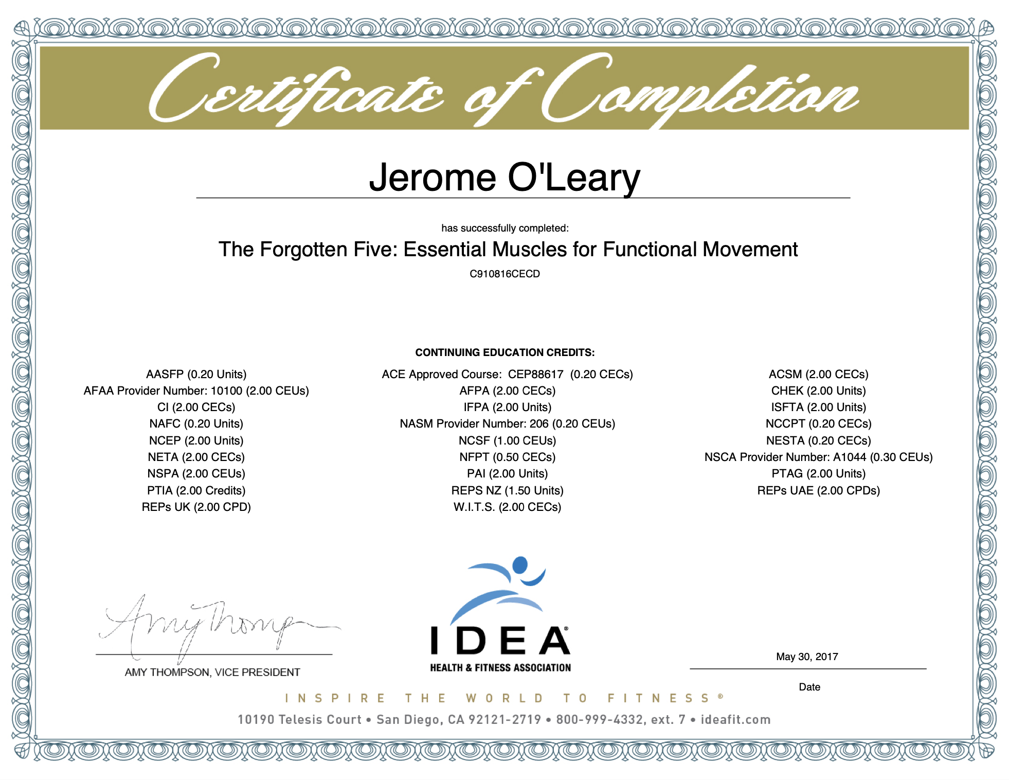 Essential Muscles for Functional Movement.png