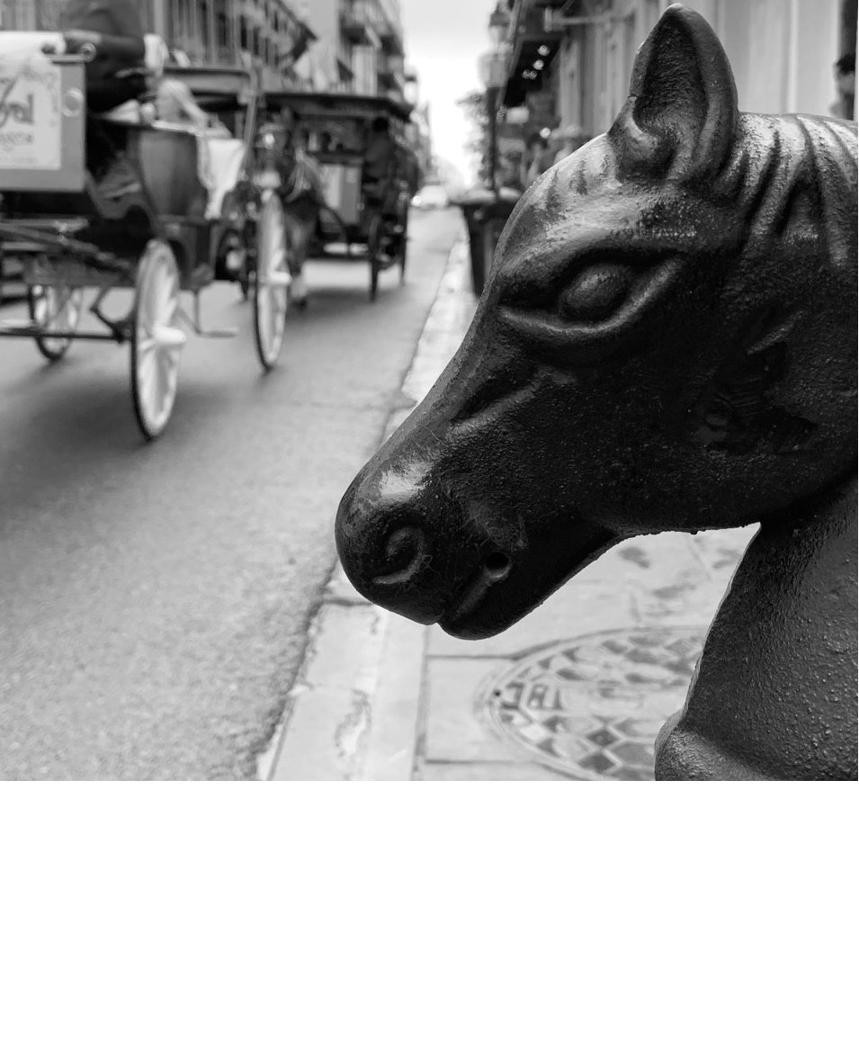myselfismyhorse.png
