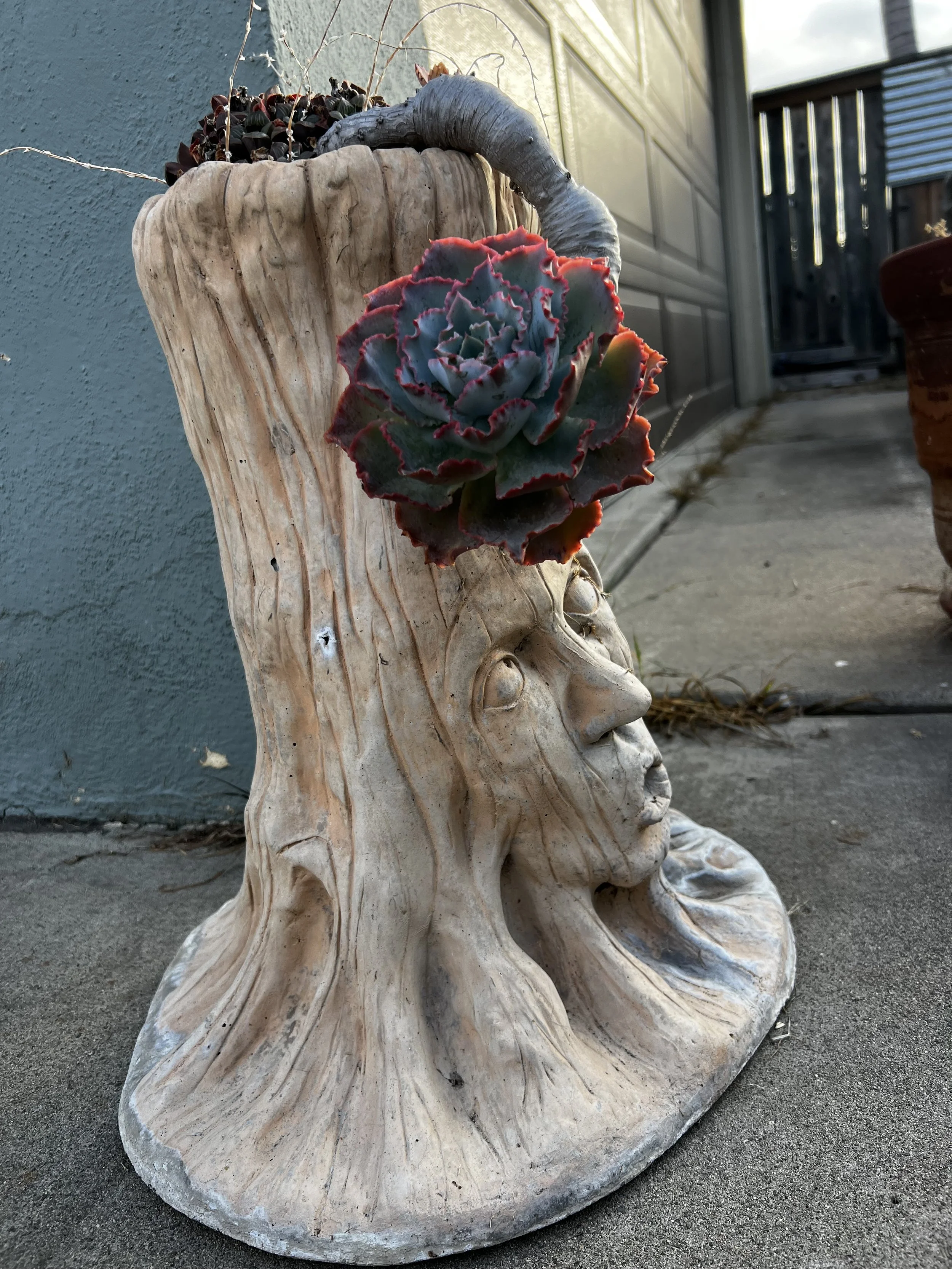 Lunar Notes: 7/5-21, 2024