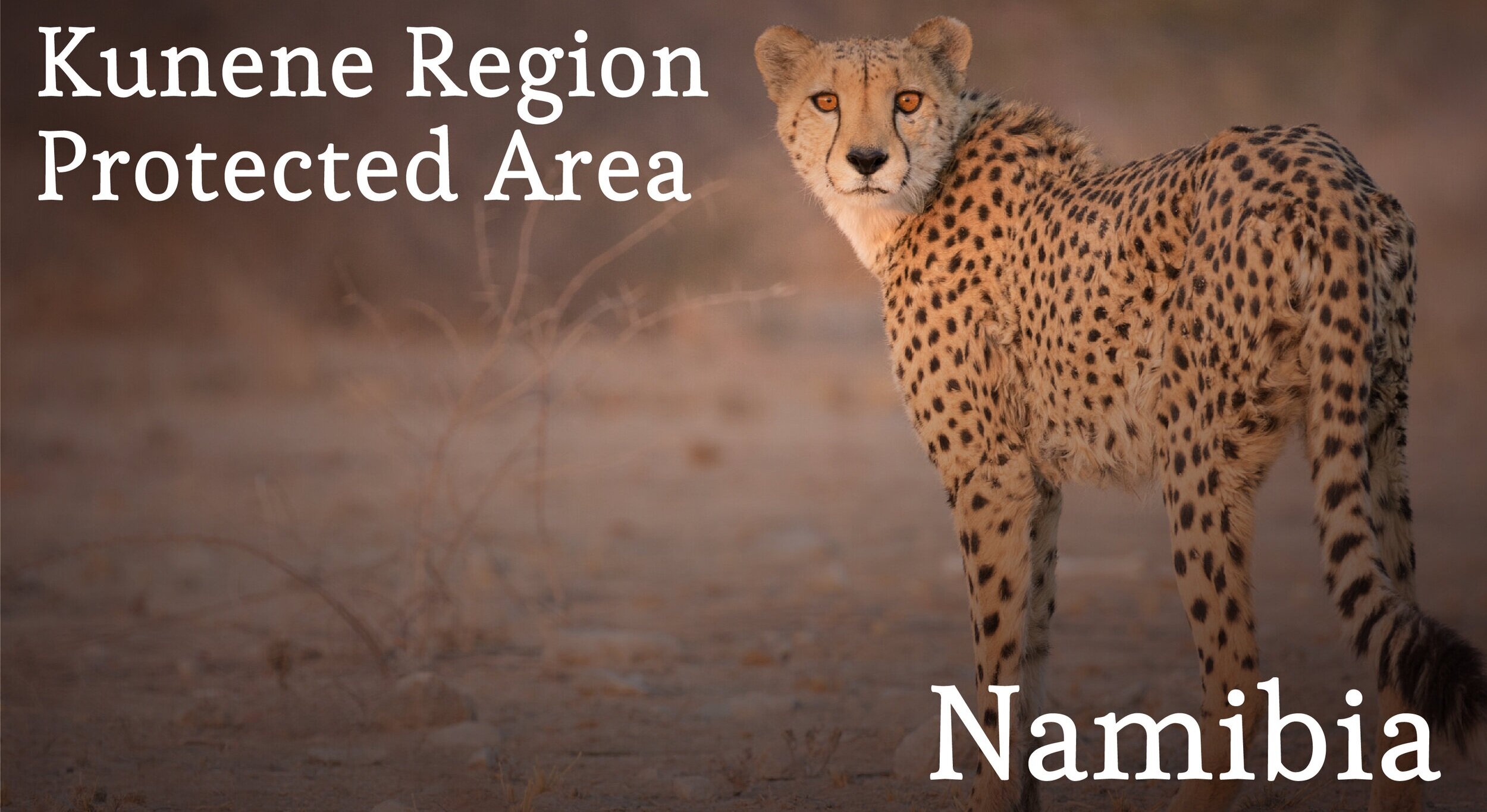 Kunene Protected Region, Namibia