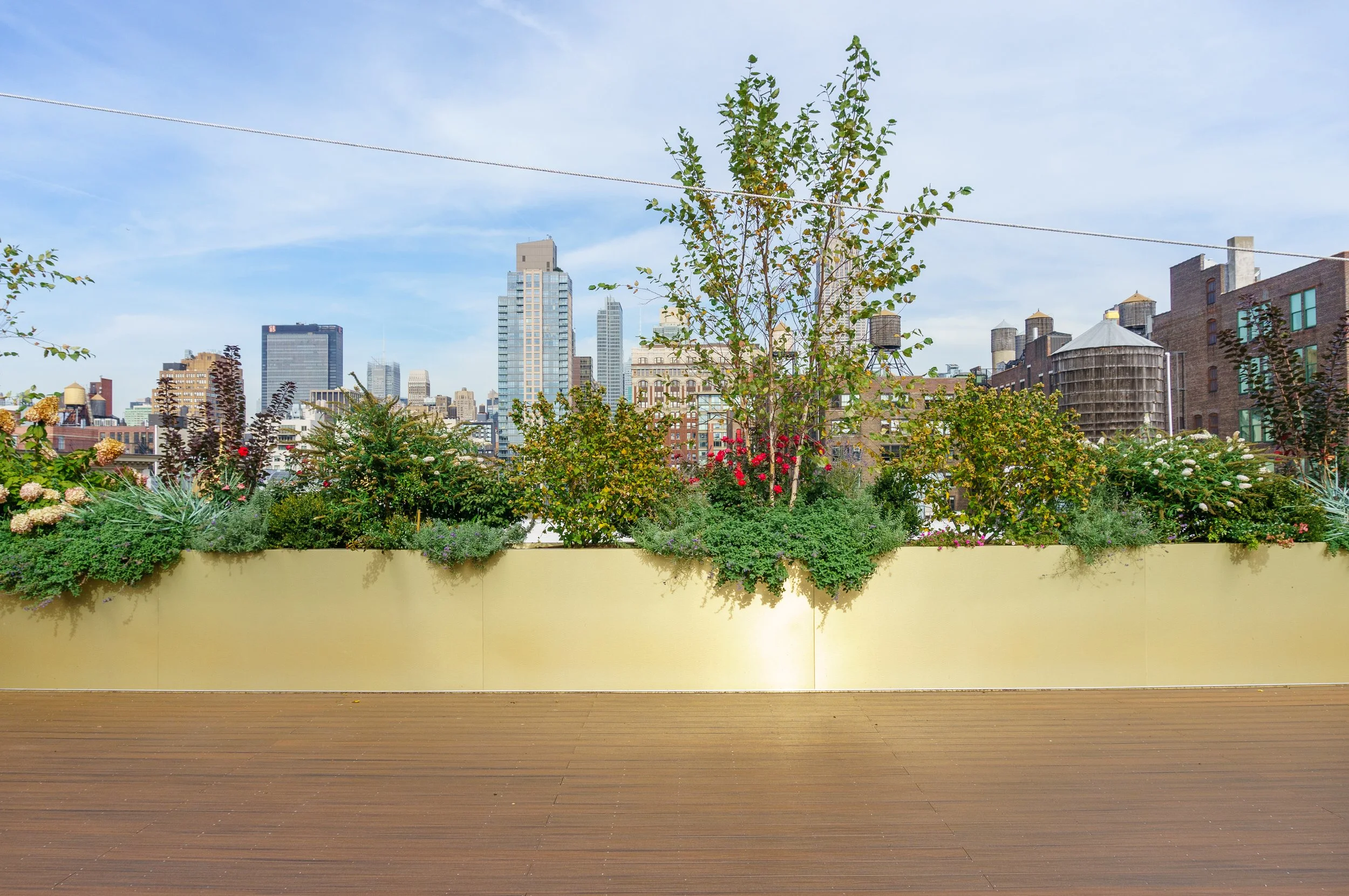 Plantus | NYC Planting & Landscape Design Studio