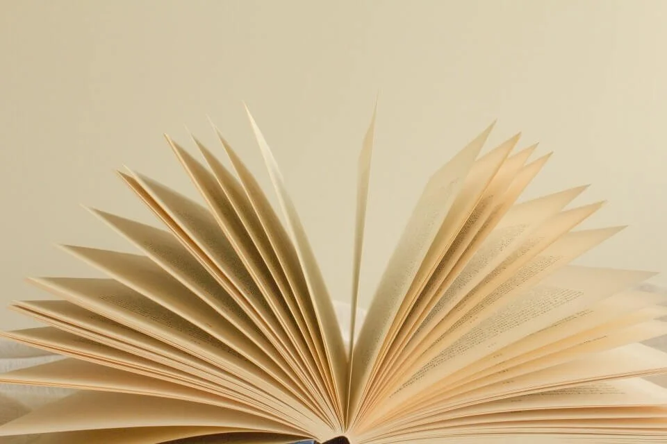 Lebensskript verstehen: Transaktionsanalyse &amp; dein inneres Drehbuch nach Eric Berne