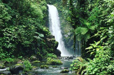 Screen Shot 2020-01-03 at 2.53.16 PM.png