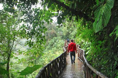 Screen Shot 2020-01-03 at 2.54.58 PM.png