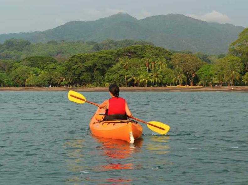 Screen Shot 2020-01-03 at 3.27.02 PM.png