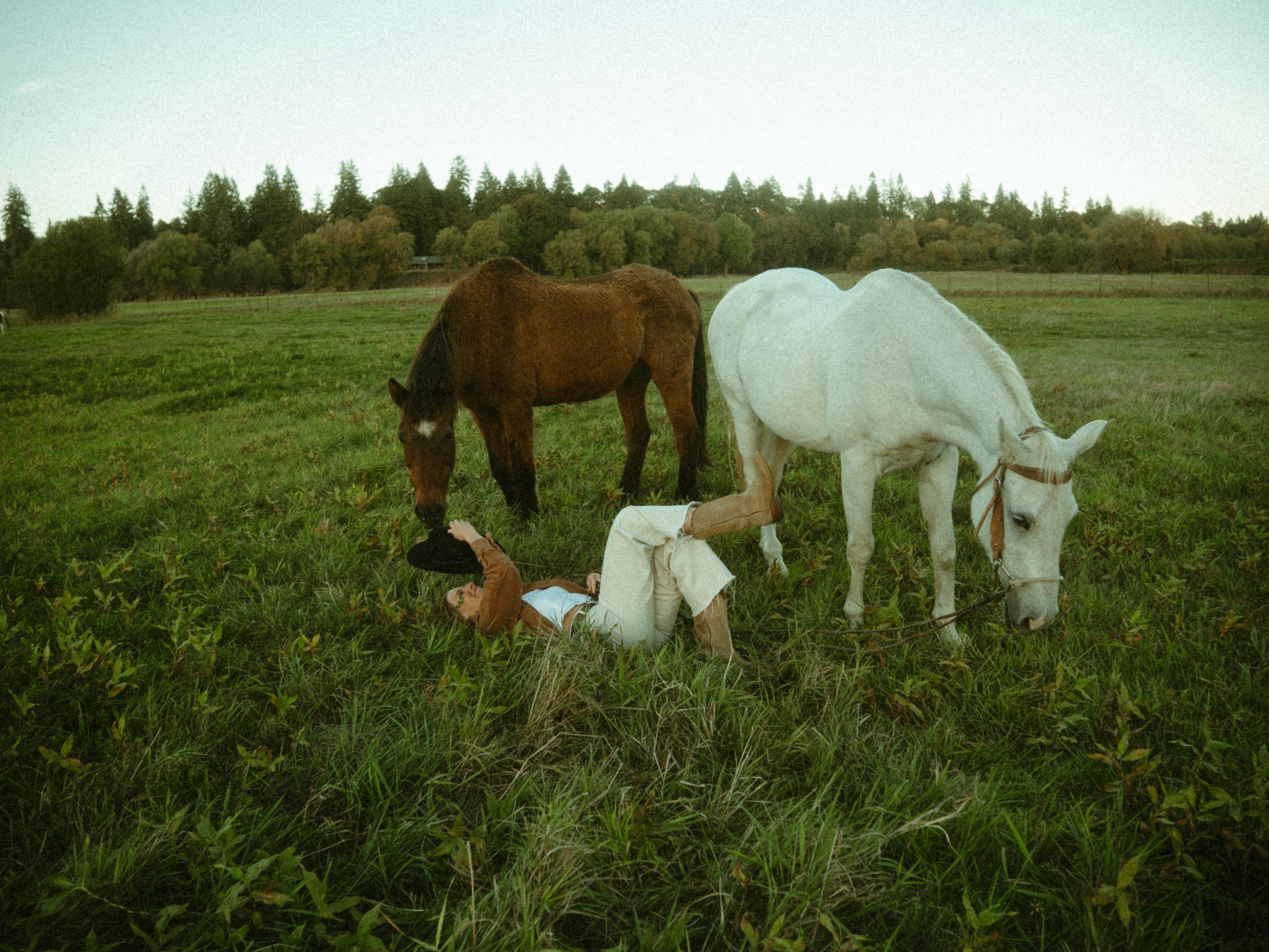 DSCF5445.jpg