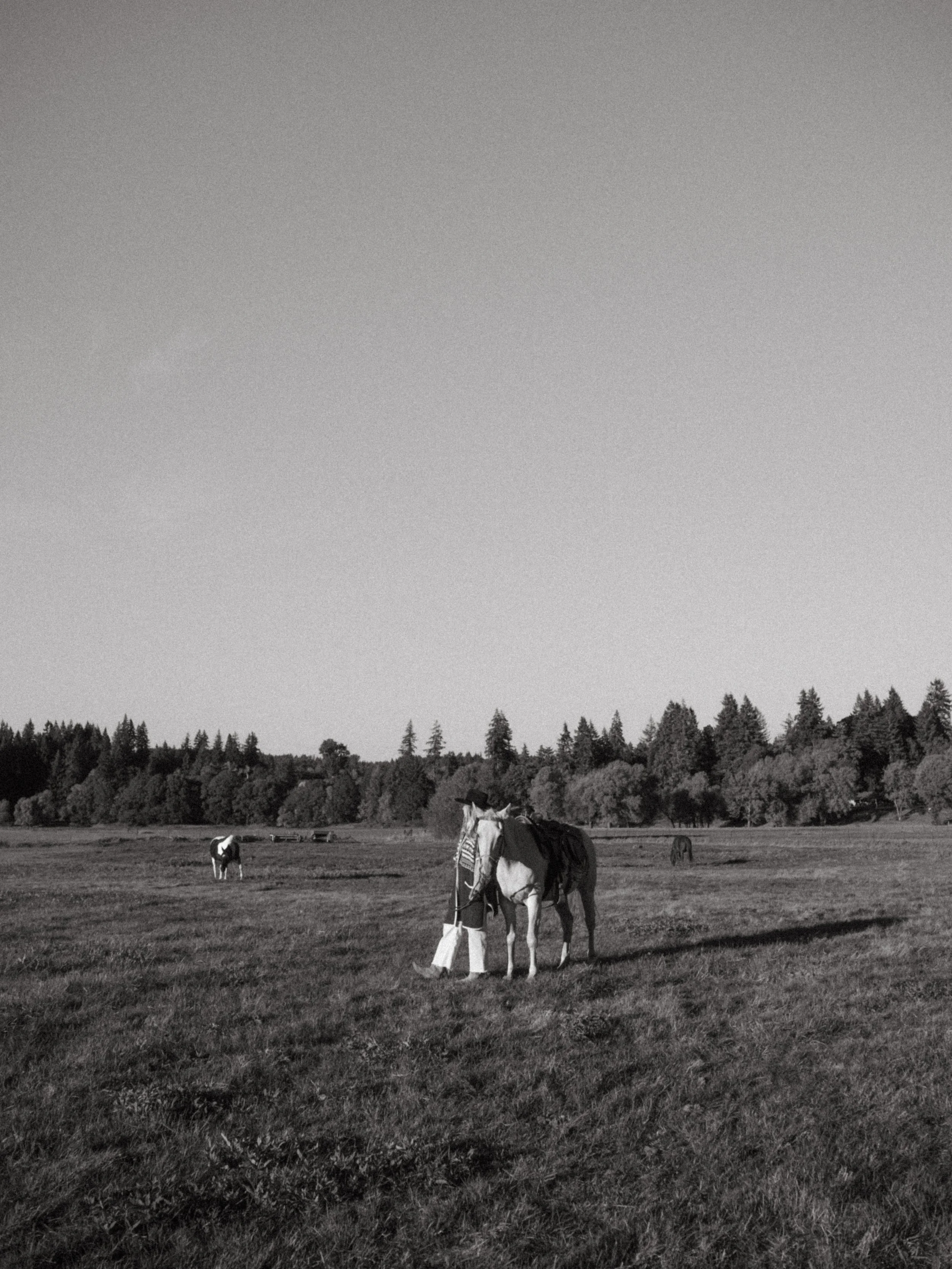 DSCF5072.jpg