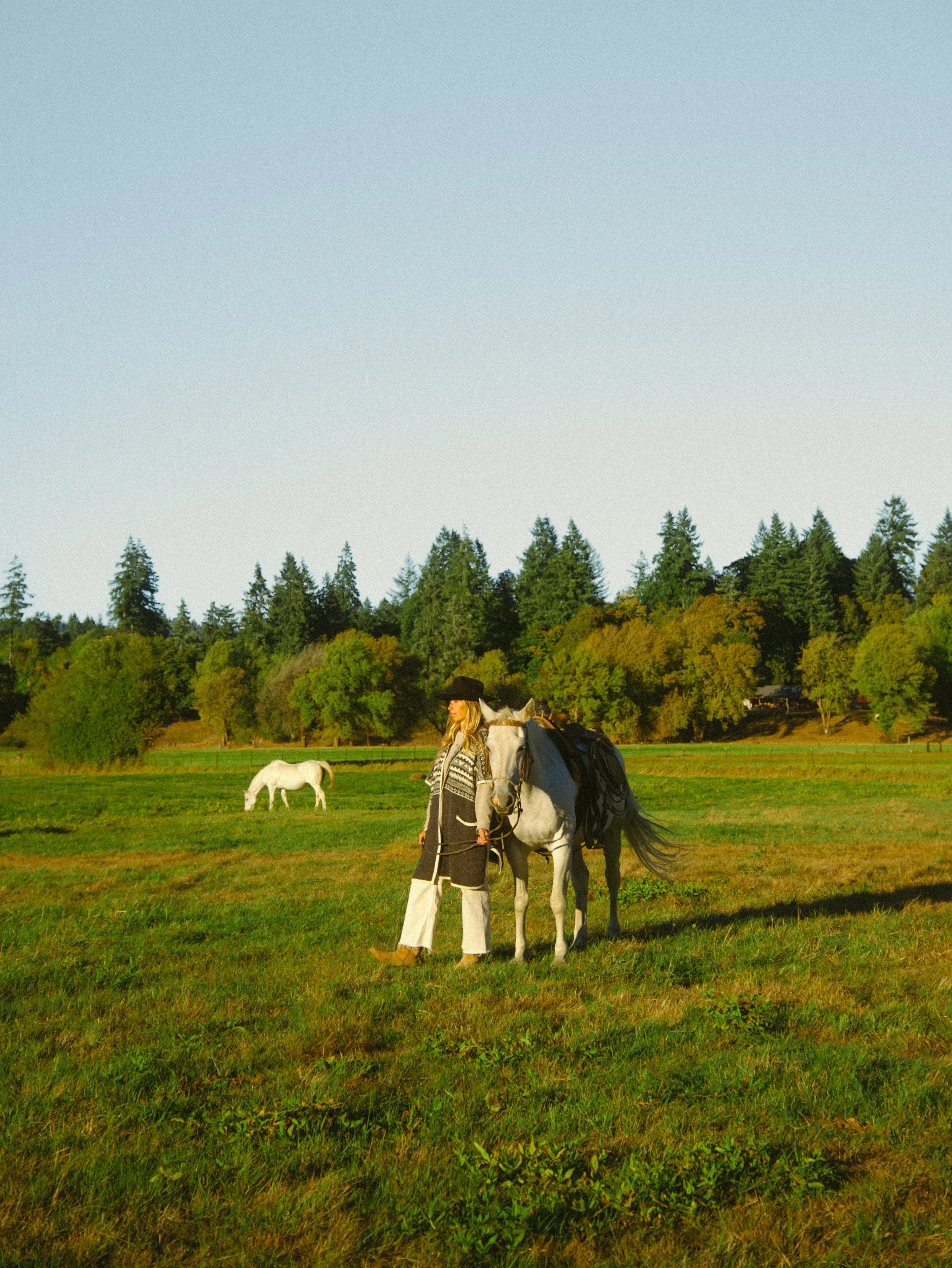 DSCF5075.jpg