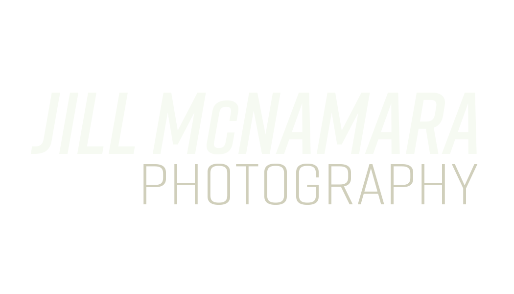 Jill McNamara Photography - Phoenix Family Photographer