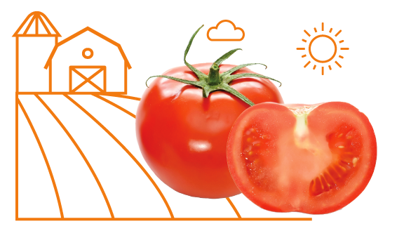 tomato.png