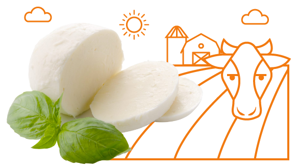 Dairy.png