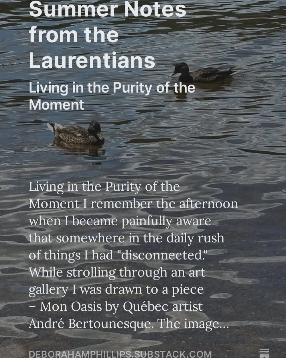 Where do you find your living in the purity of the moment place?