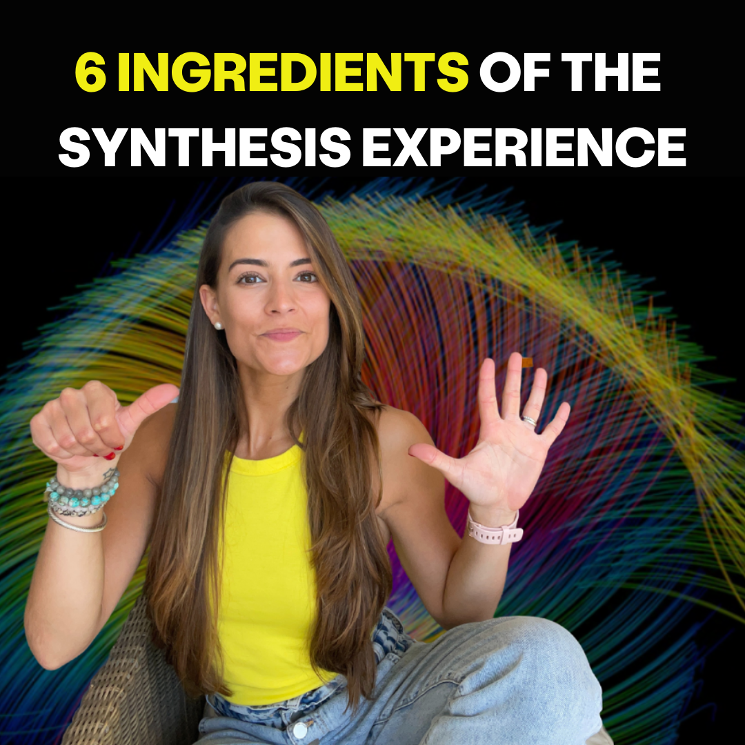 The Synthesis Experience