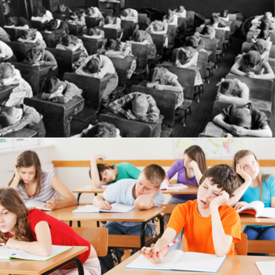 Our Education System