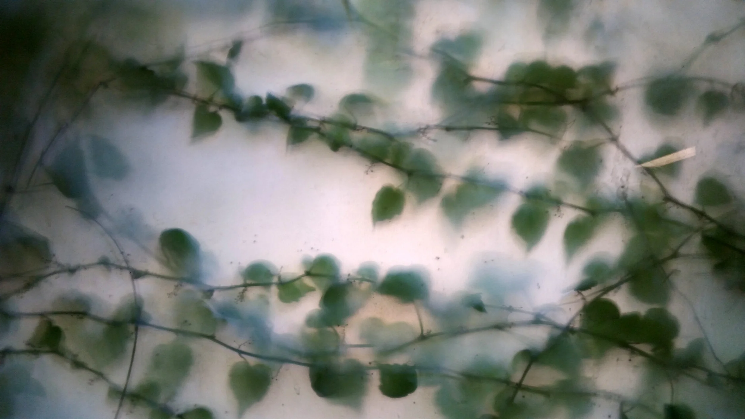 Who’s Haunting Who?