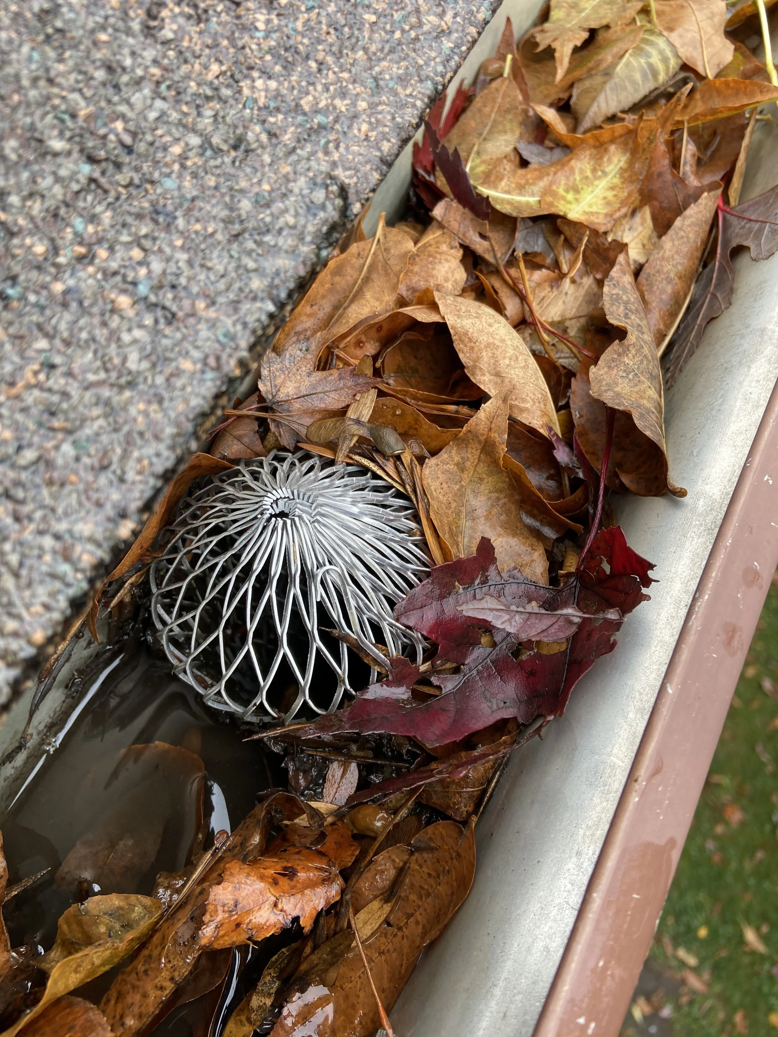 Gutters &amp; Down Spout Cleaning