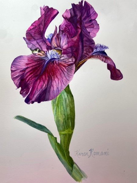 Karen Romani on Discovering Botanical Art — Heartland Art Club
