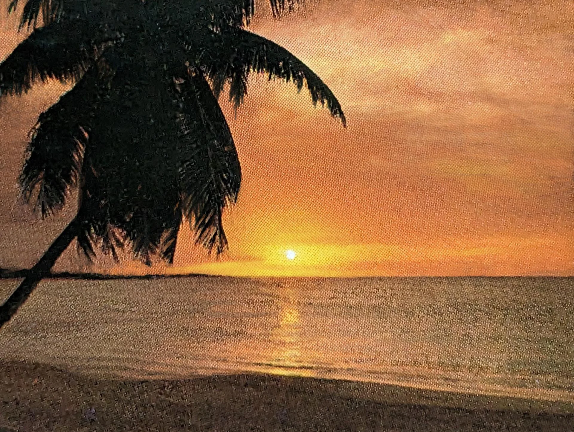 Construction Paper Palm Tree (Part 3 of 3 The Brilliance of Light