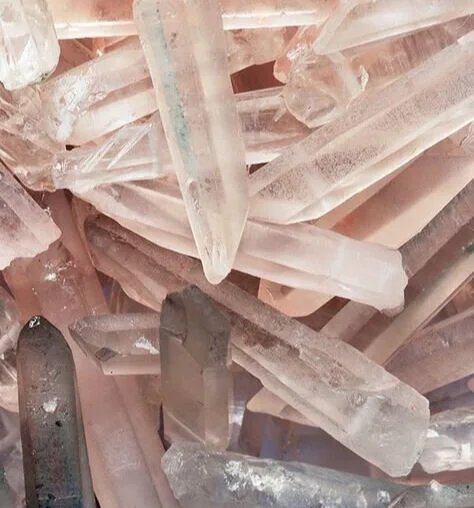 the Rose Crystal Wallpaper Mural