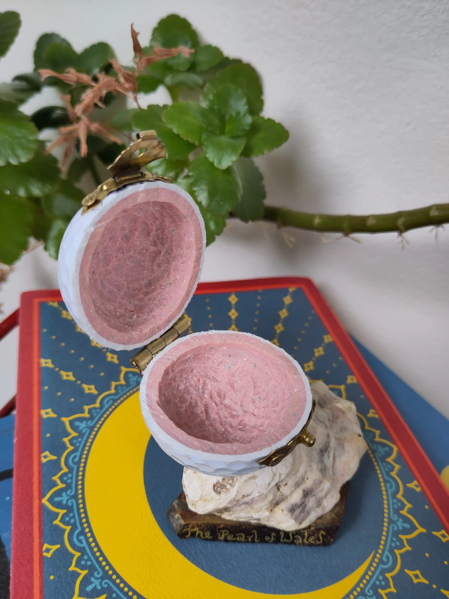 WhatsApp Image 2025-11-05 at 15.26.55 (2).jpeg