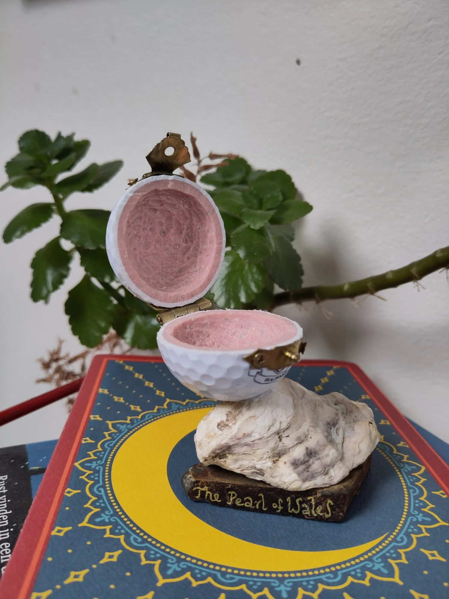 WhatsApp Image 2025-11-05 at 15.26.55 (1).jpeg