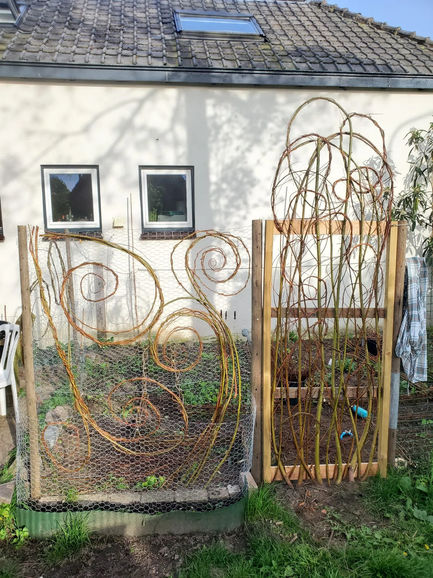 WhatsApp Image 2025-11-05 at 15.57.18.jpeg