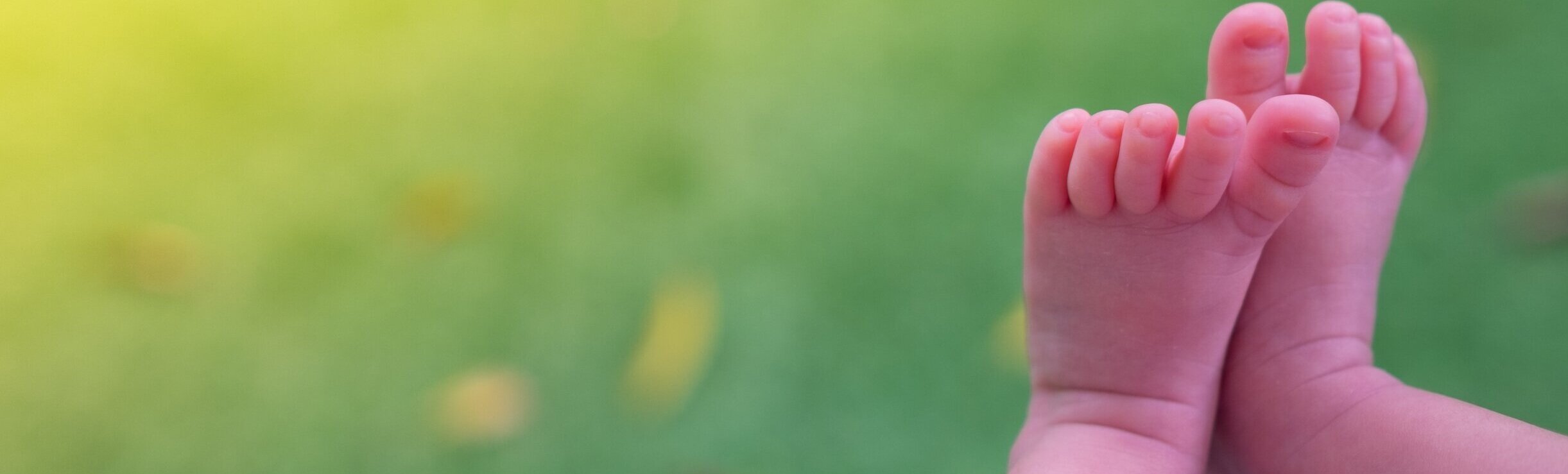 baby+feet+banner+main.jpg