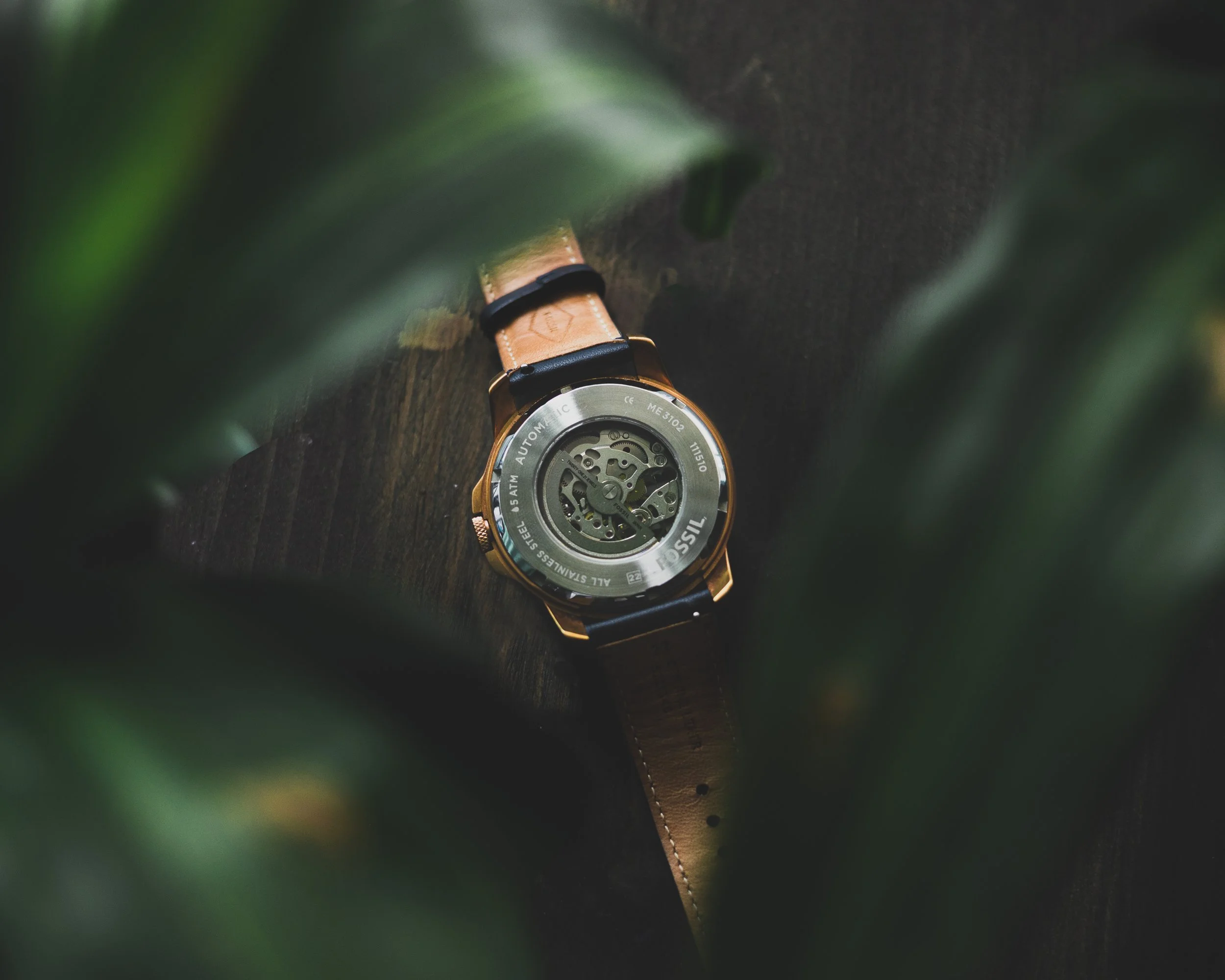 CR6_2895-Edit.jpg