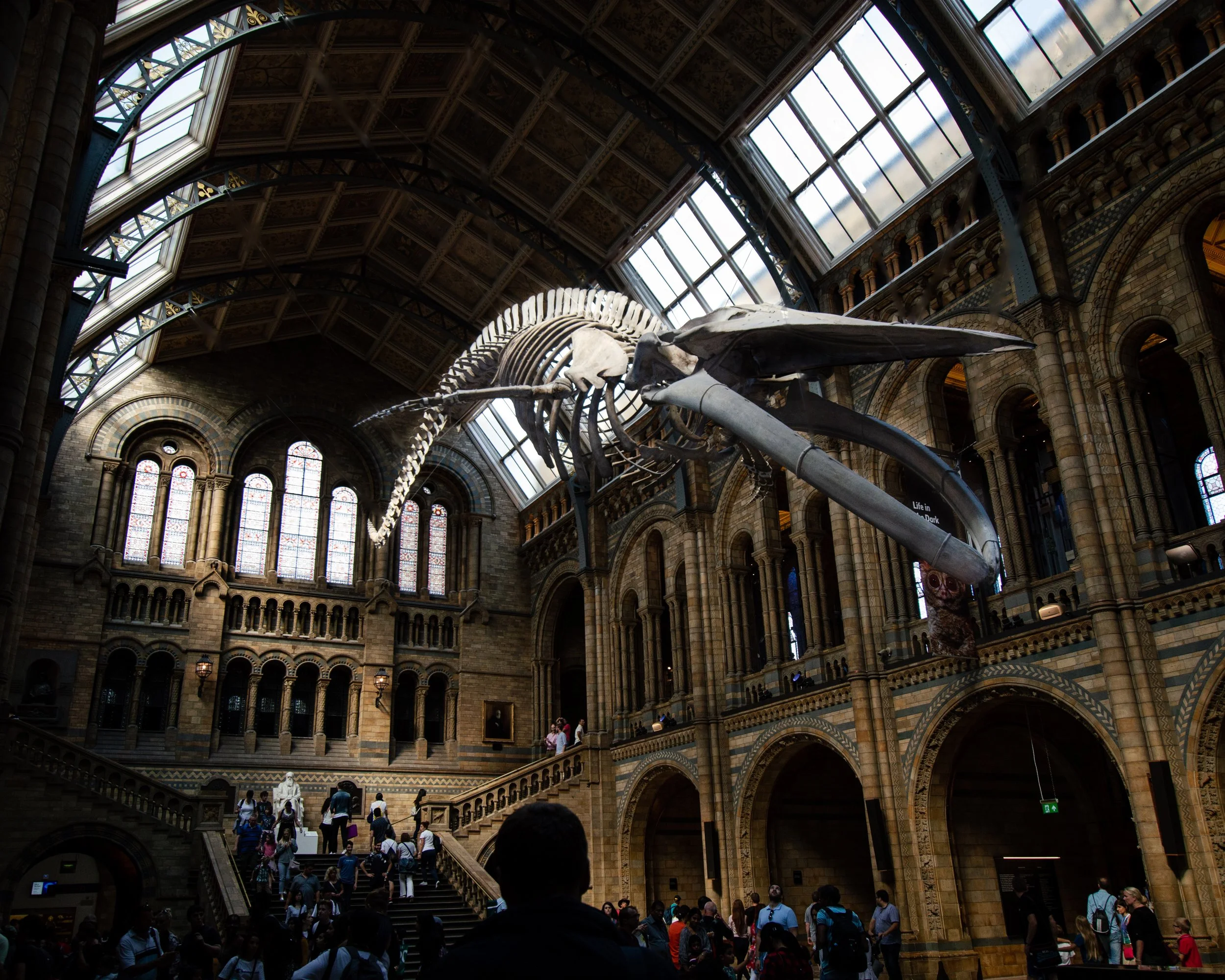 DSC_0103.jpg
