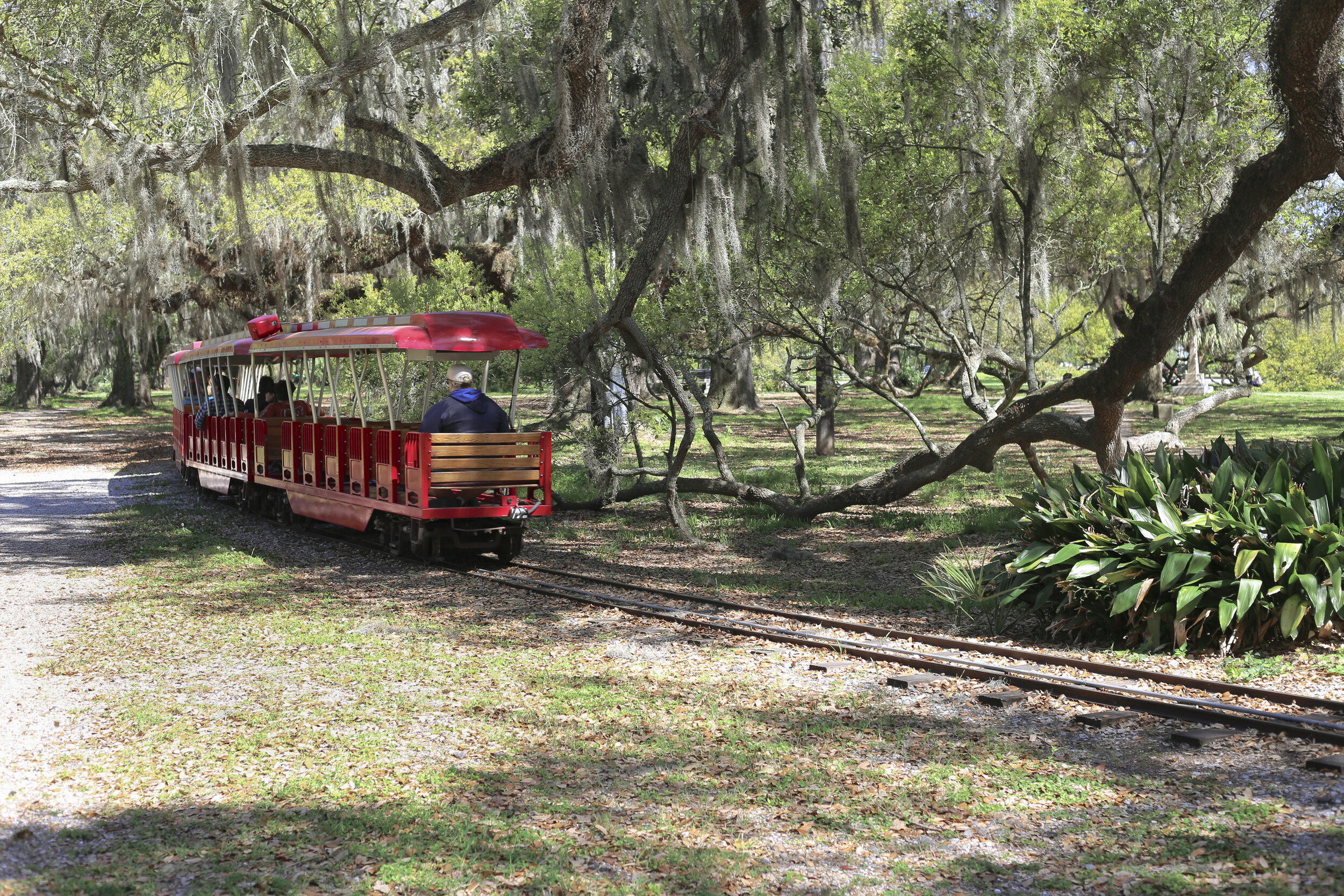 train.jpg