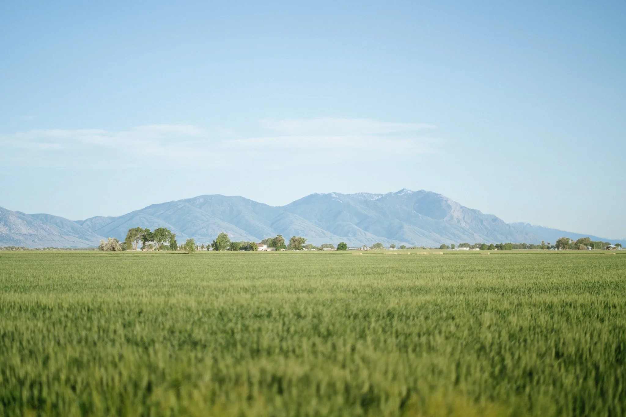 zac-and-jackie_wedding-day_tremonton-utah_the-timbered-rose_super89films_-49.jpg