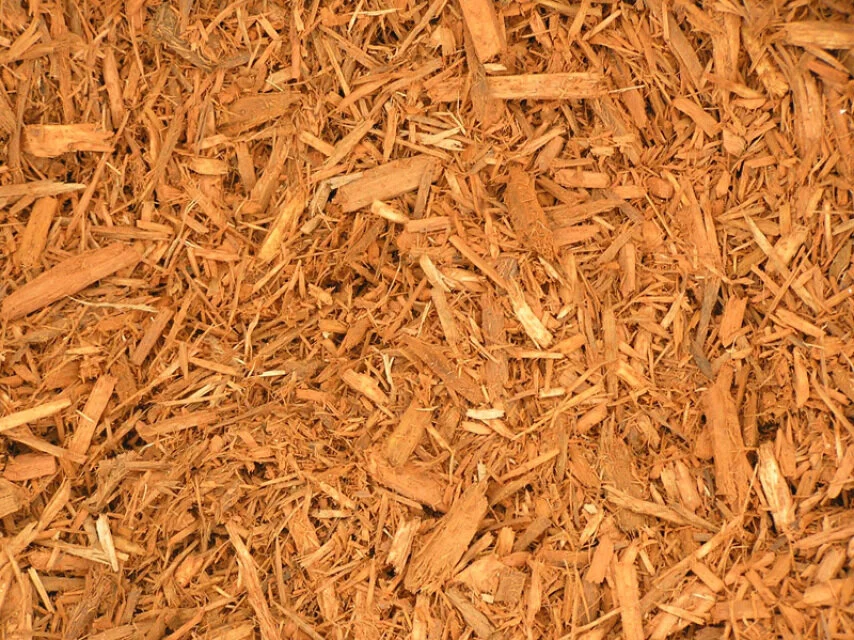 GOLD DYED MULCH