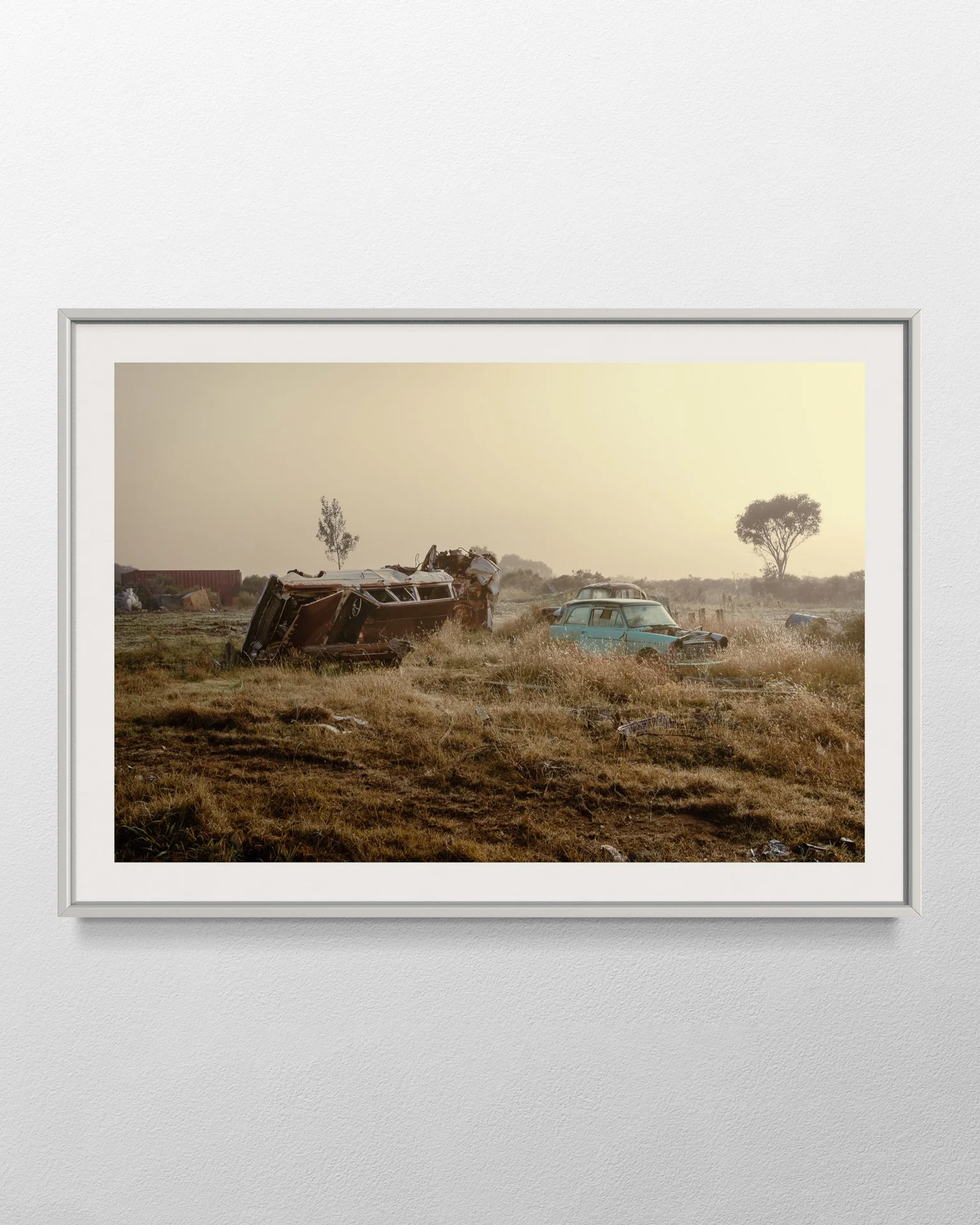 Untitled_8_Web_Wall_1.jpg