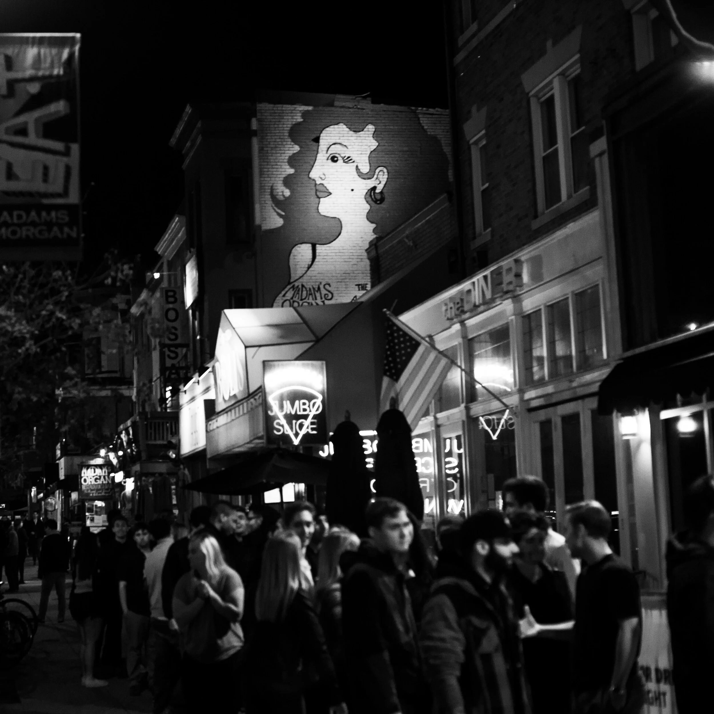 DSC_9527.jpg