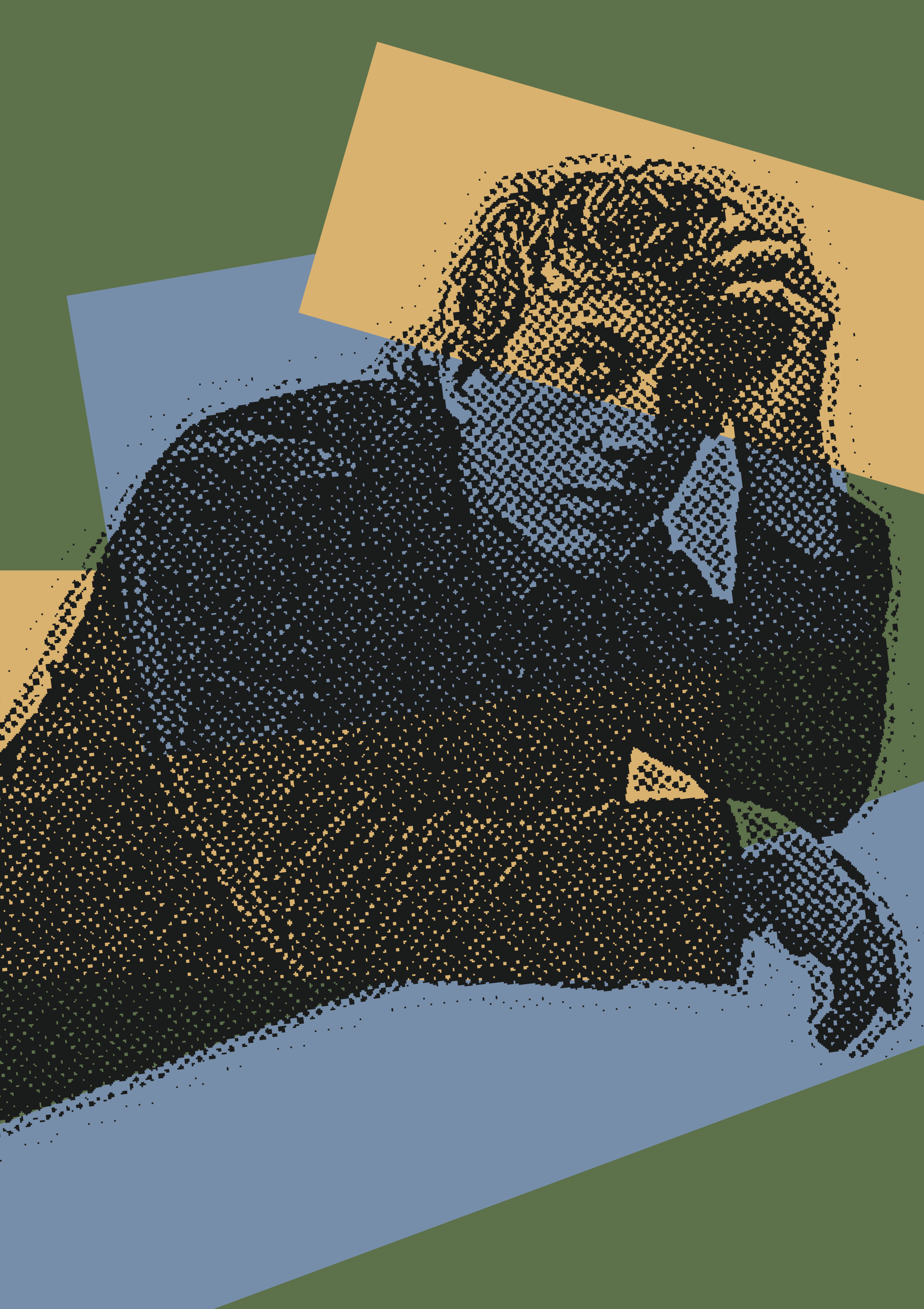 Steve Gunn_1_v1.png