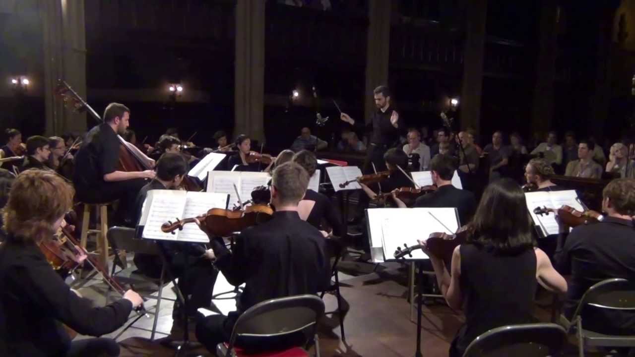 String Orchestra of Brooklyn . Ensemble