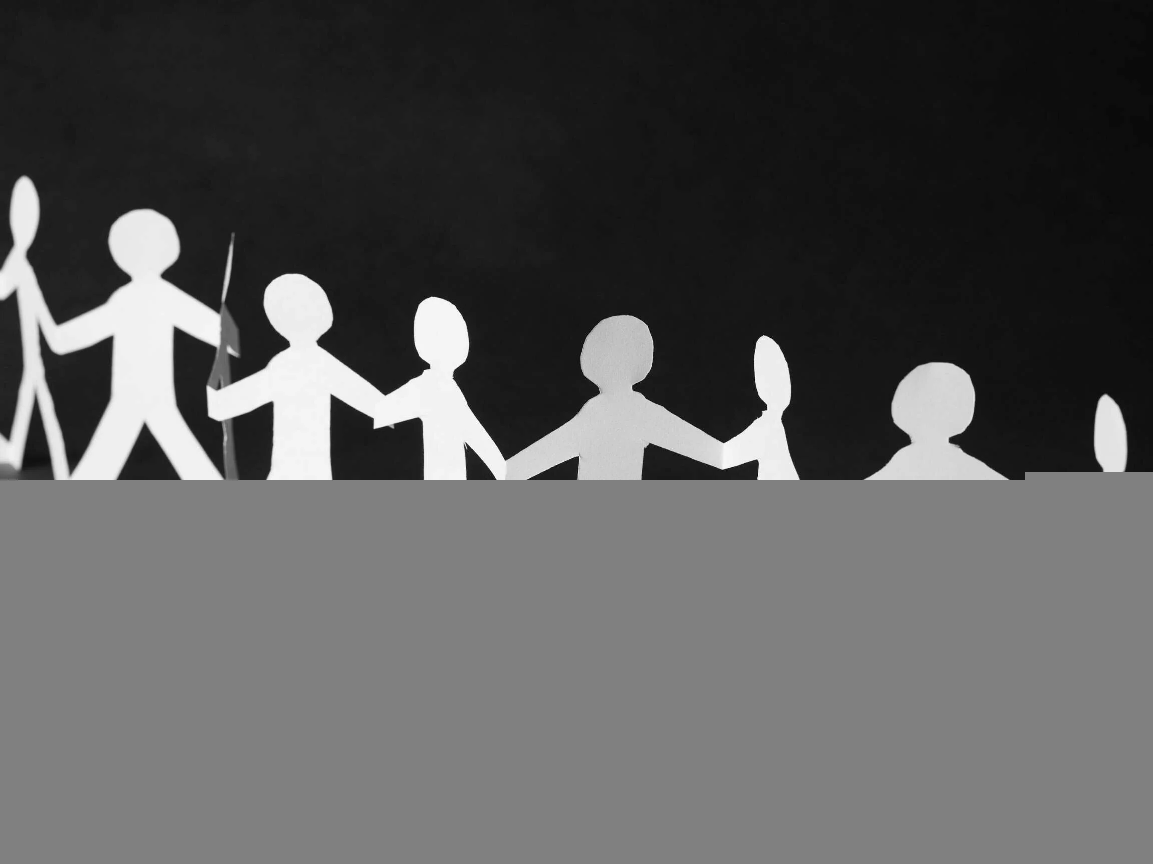 Who's who banner.jpg