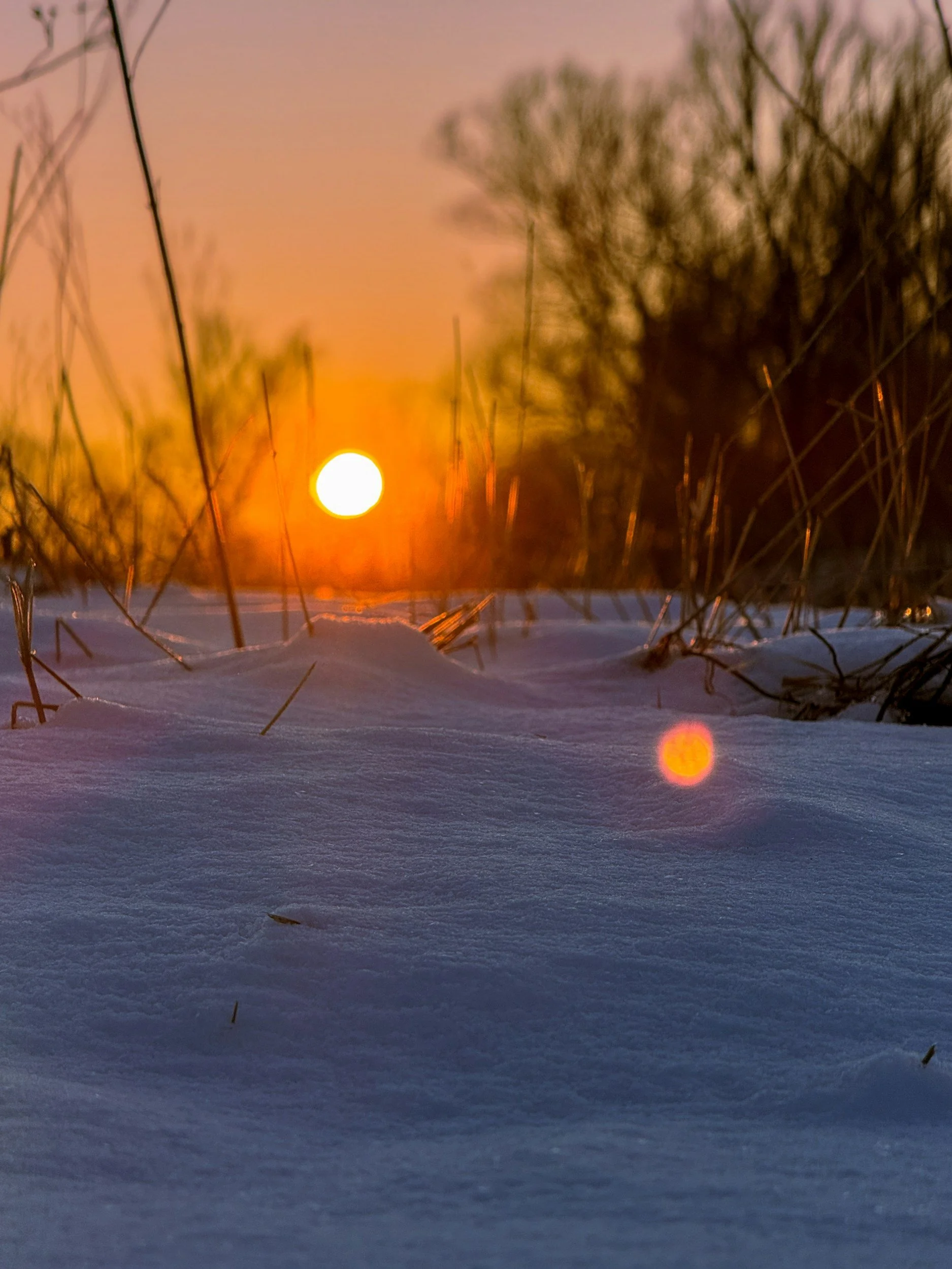 Trio Paradis: A December Evening