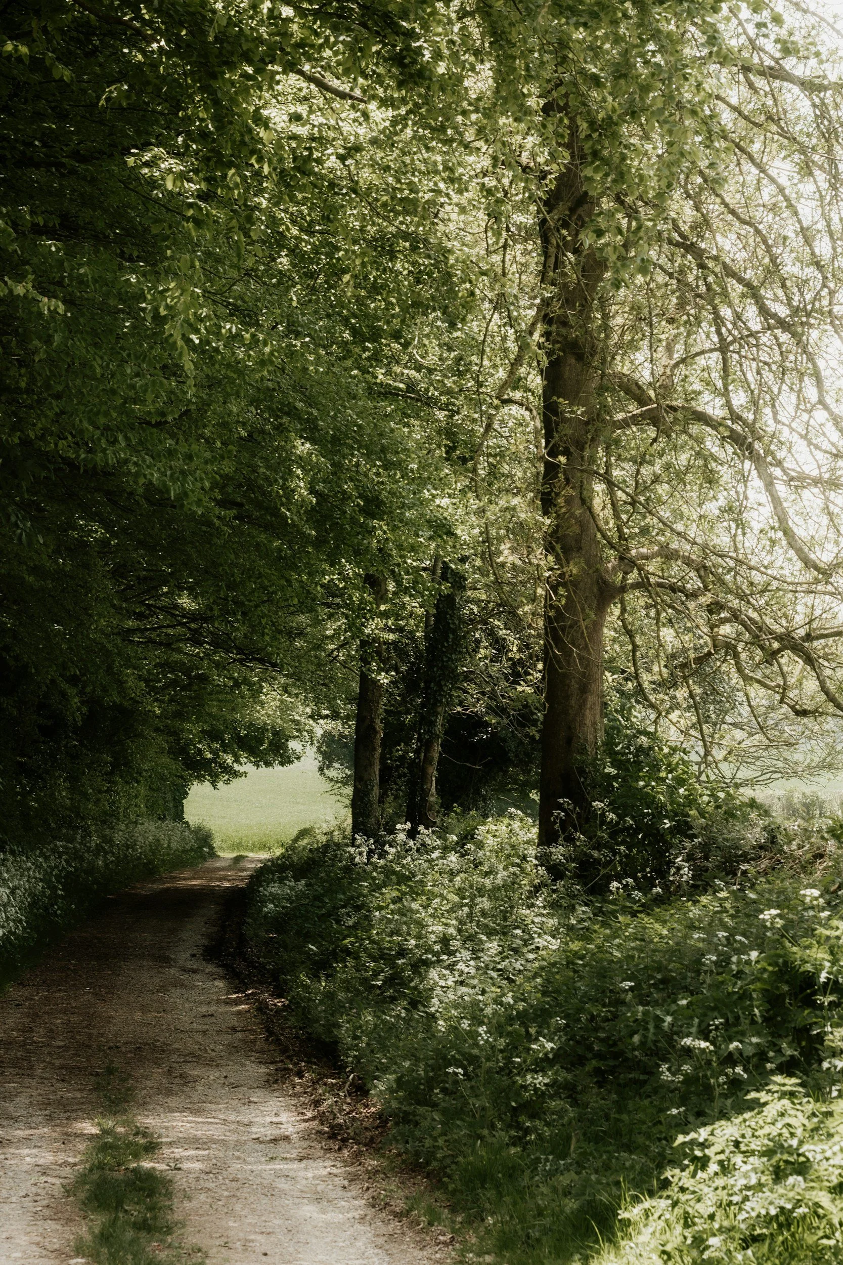 The Lord's Prayer - with J. John at The Forum, Bath