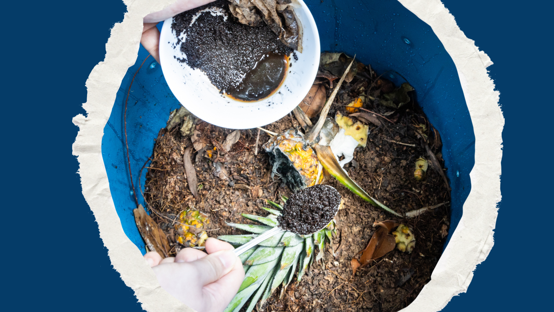 Coffee for Compost